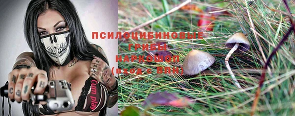 прущая мука Горно-Алтайск